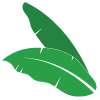 A banana leaf icon for back 2 health chiropractic in lubbock, texas